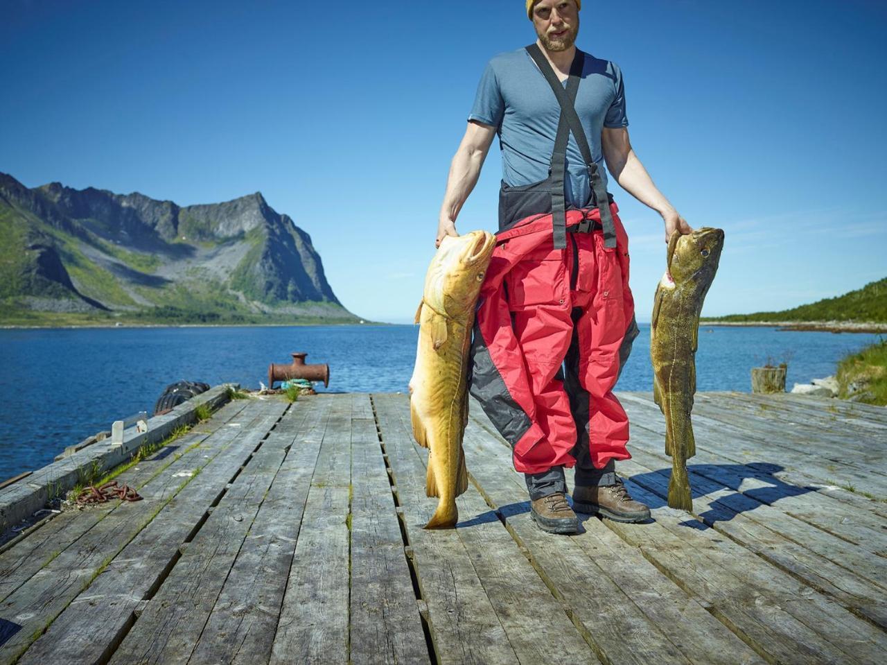 Northern Light Hotell/Camp Steinfjord Berg  Exterior photo