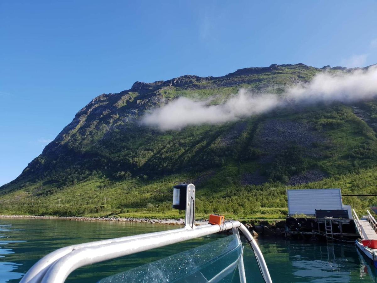 Northern Light Hotell/Camp Steinfjord Berg  Exterior photo