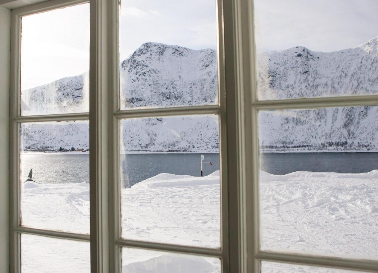 Northern Light Hotell/Camp Steinfjord Berg  Exterior photo