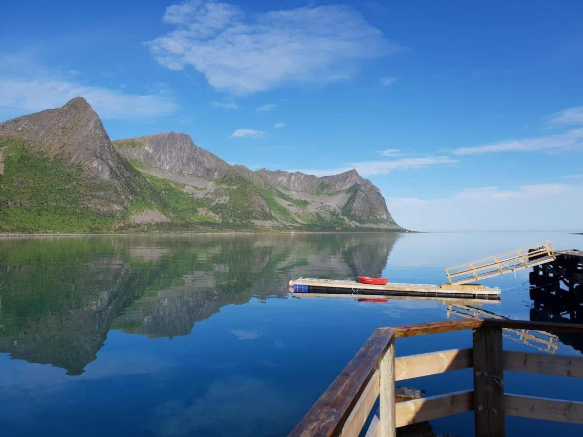 Northern Light Hotell/Camp Steinfjord Berg  Exterior photo