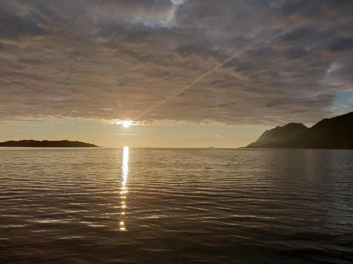 Northern Light Hotell/Camp Steinfjord Berg  Exterior photo